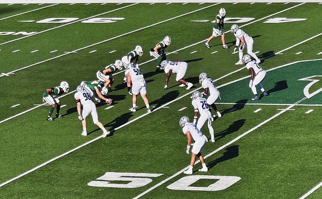 成为各大豪 成为各大豪